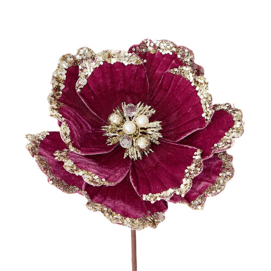 Art Plants Dramatic Flower Pink