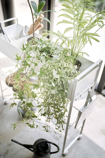 Rolling Entry Storage Shelf White