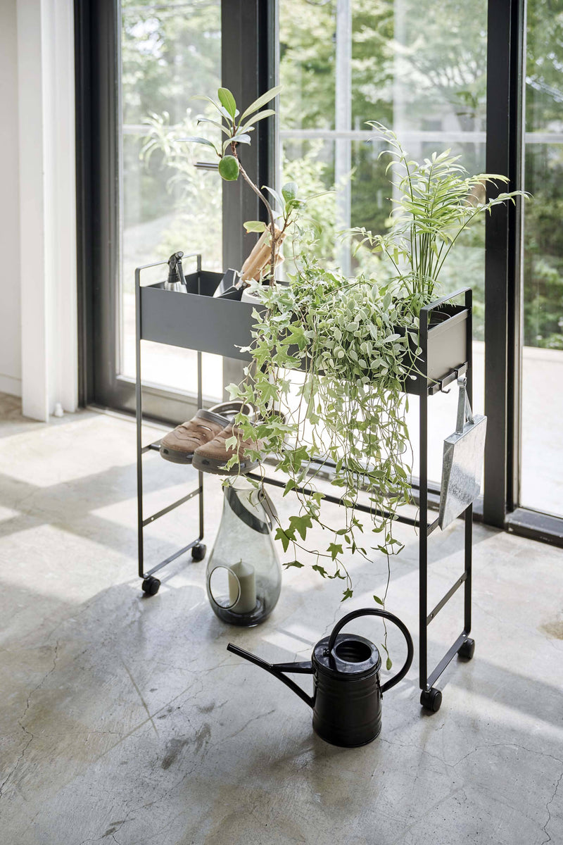 Rolling Entry Storage Shelf Black