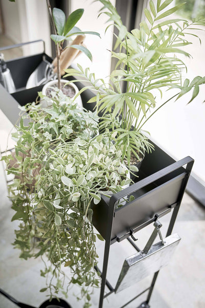 Rolling Entry Storage Shelf Black