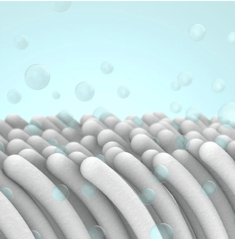 Cararipoko Large Gray