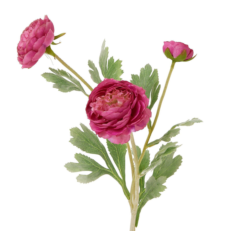 ART FLOWER RANUNCULUS Purple